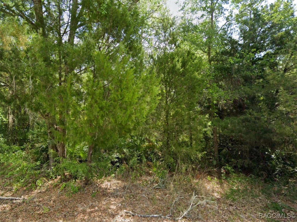 4930 N Sandpebble Point, Crystal River, Florida image 1