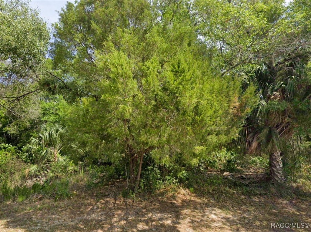 4930 N Sandpebble Point, Crystal River, Florida image 5