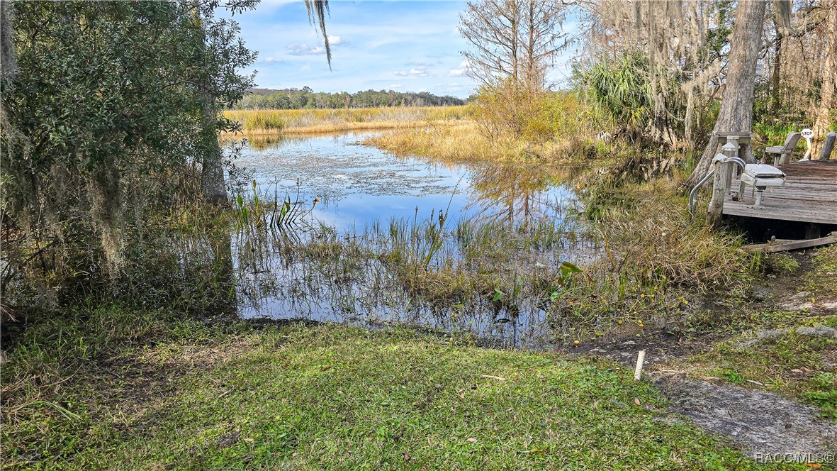 19 N Shadow Wood Drive, Inverness, Florida image 47