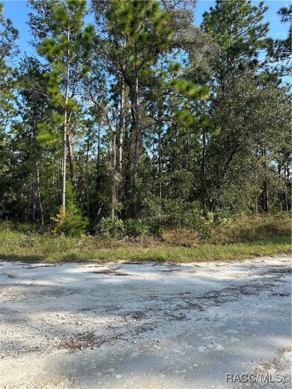 17444 Nighthawk Road, Weeki Wachee, Florida image 1