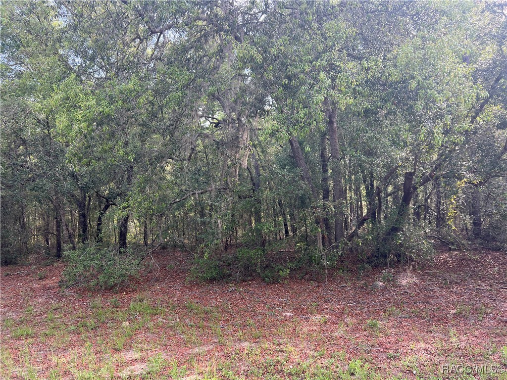 8381 N Quarry Drive, Citrus Springs, Florida image 1