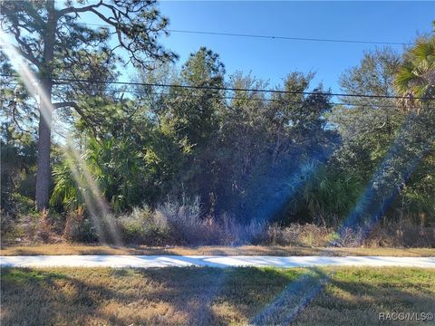 Vacant Land For Sale - 1224 S Suncoast Boulevard<br/> Homosassa, FL 34448