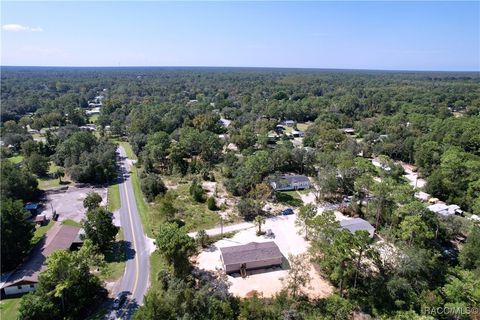 A home in Homosassa