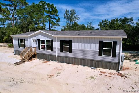 A home in Homosassa