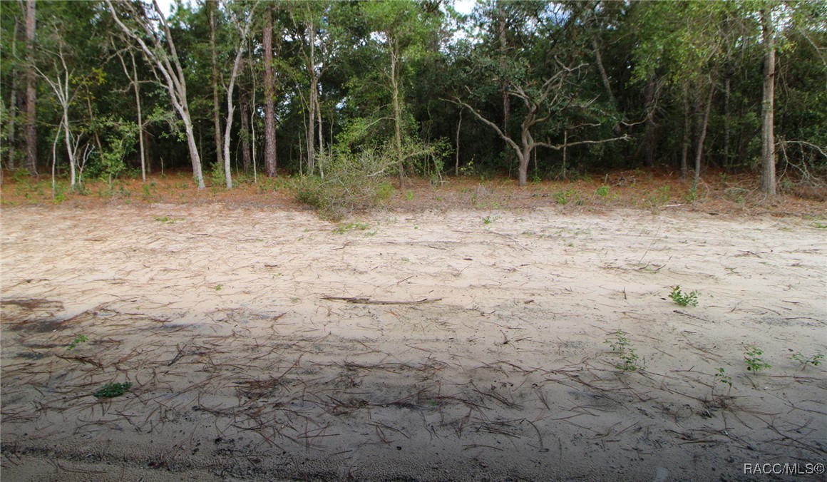 2915 W Goldenrod Drive