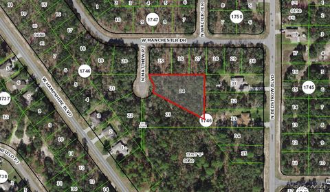 Vacant Land For Sale - 6039 N Matthew Point<br/> Citrus Springs, FL 34434