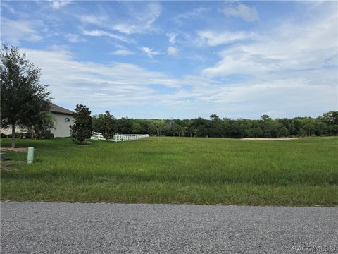 Vacant Land For Sale - 1359 N Spend A Buck Drive<br/> Hernando, FL 34442