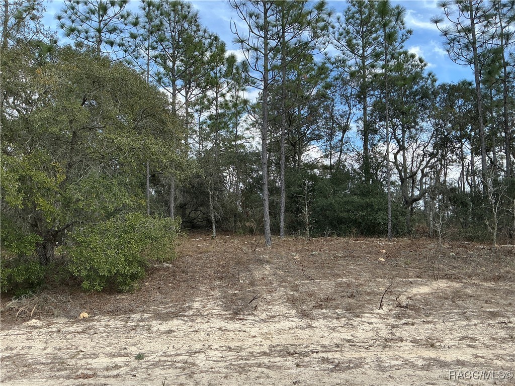 9581 N Wallace Way, Citrus Springs, Florida image 1