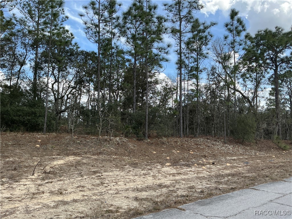 9581 N Wallace Way, Citrus Springs, Florida image 3