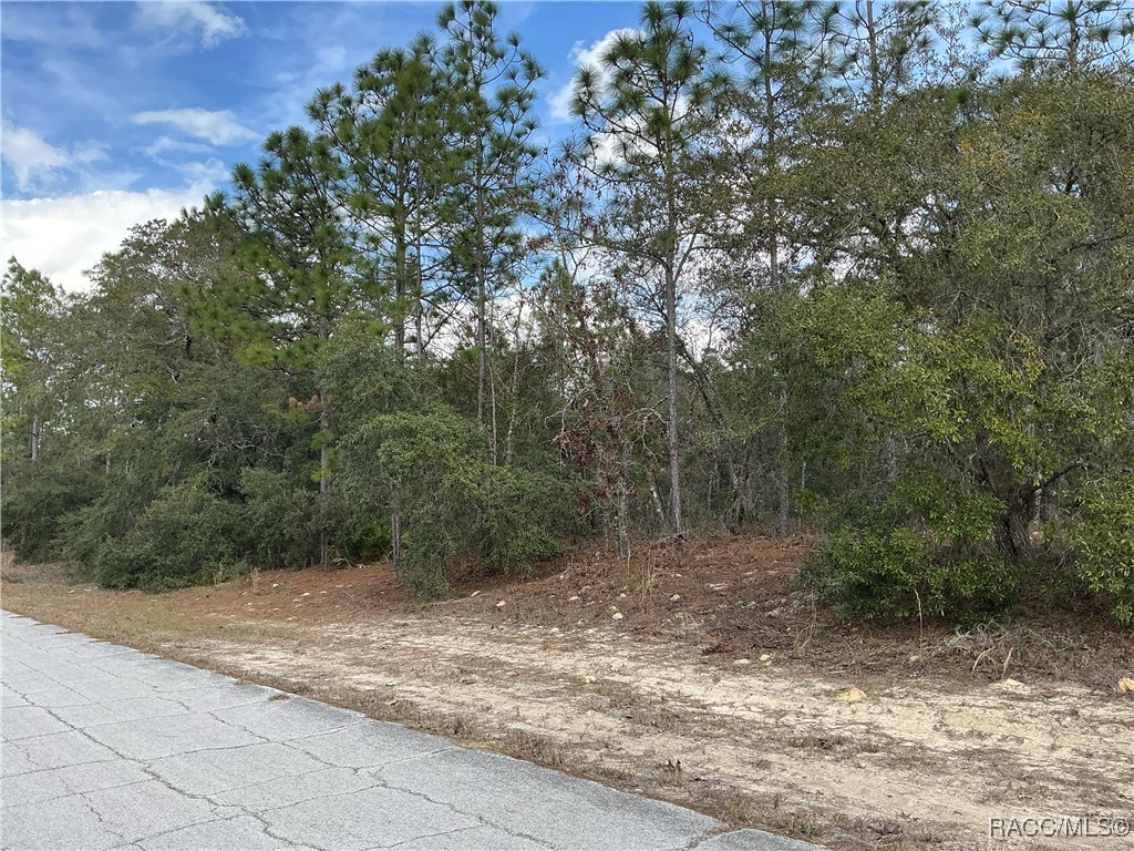 9581 N Wallace Way, Citrus Springs, Florida image 2