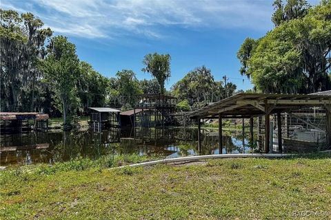 A home in Lake Panasoffkee