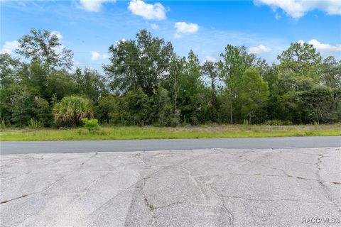 2257 N Stampede Drive Beverly Hills FL 34465