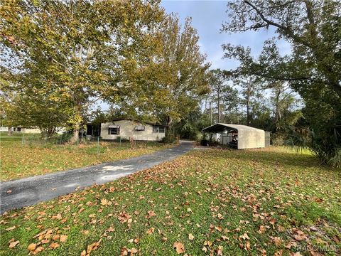 A home in Homosassa