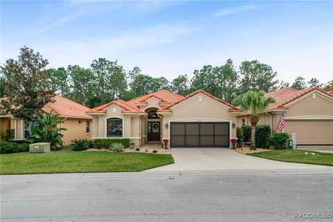 A home in Hernando