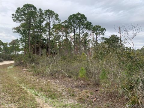 Vacant Land For Sale - 00 153rd Terrace<br/> Cedar Key, FL 32625