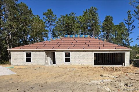 A home in Citrus Springs