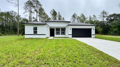 Homes For Sale - 2456 W Magenta Drive<br/> Citrus Springs, FL 34434