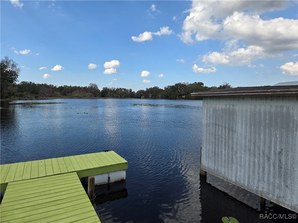 4080 N Bluewater Drive, Hernando, Florida image 12