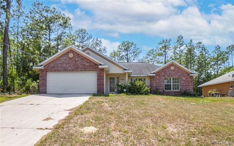 11068 N Mataro Avenue Citrus Springs FL 34434