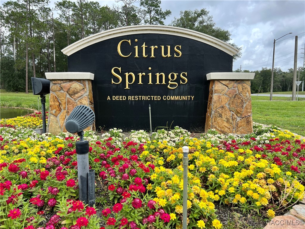 11068 N Mataro Avenue #2G, Citrus Springs, New York image 27
