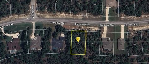 53 Glenridge Boulevard Homosassa FL 34446