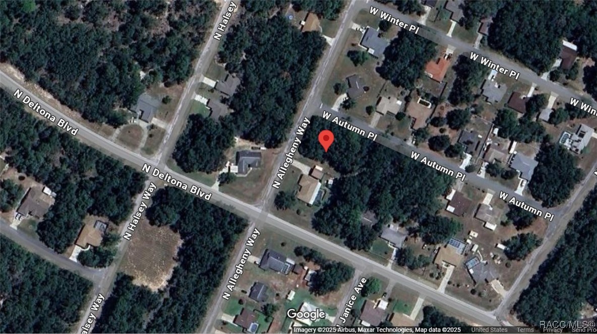 2330 W Autumn Place, Citrus Springs, Florida image 6