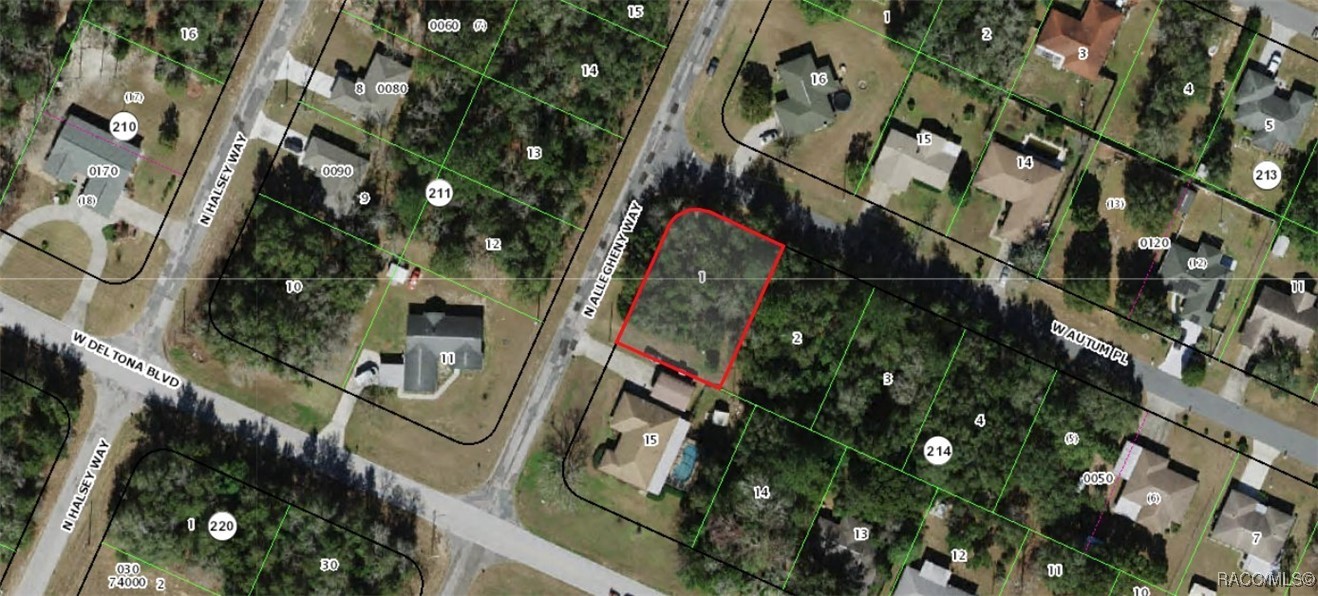 2330 W Autumn Place, Citrus Springs, Florida image 5