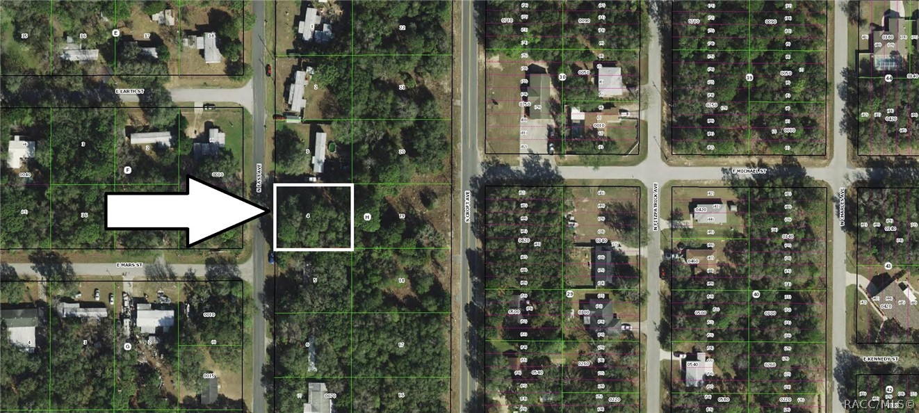 69 N East Avenue, Inverness, Florida image 1