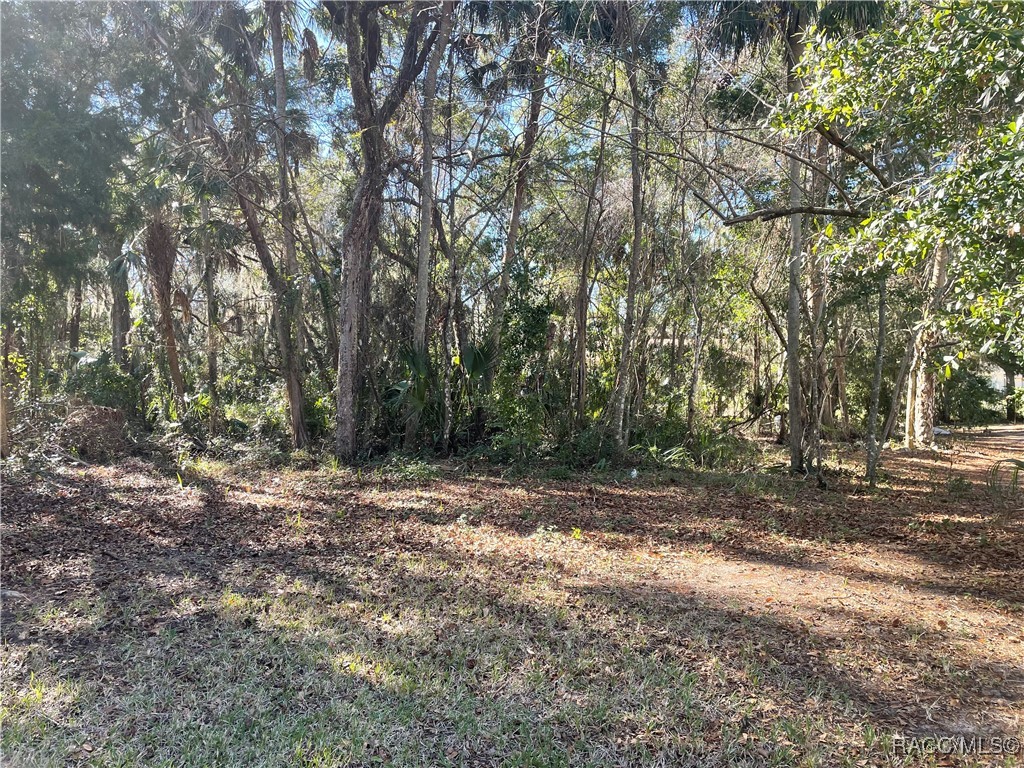 11850 W Fisherman Lane, Homosassa, Florida image 1