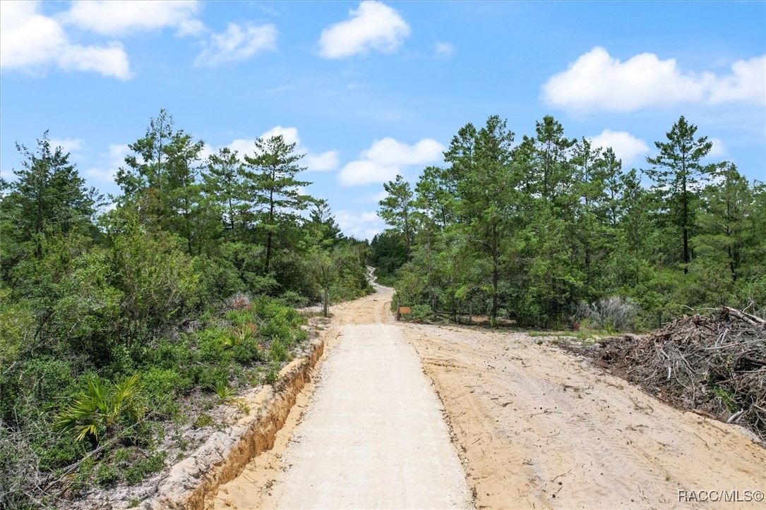 8572 N Lindhurst Circle