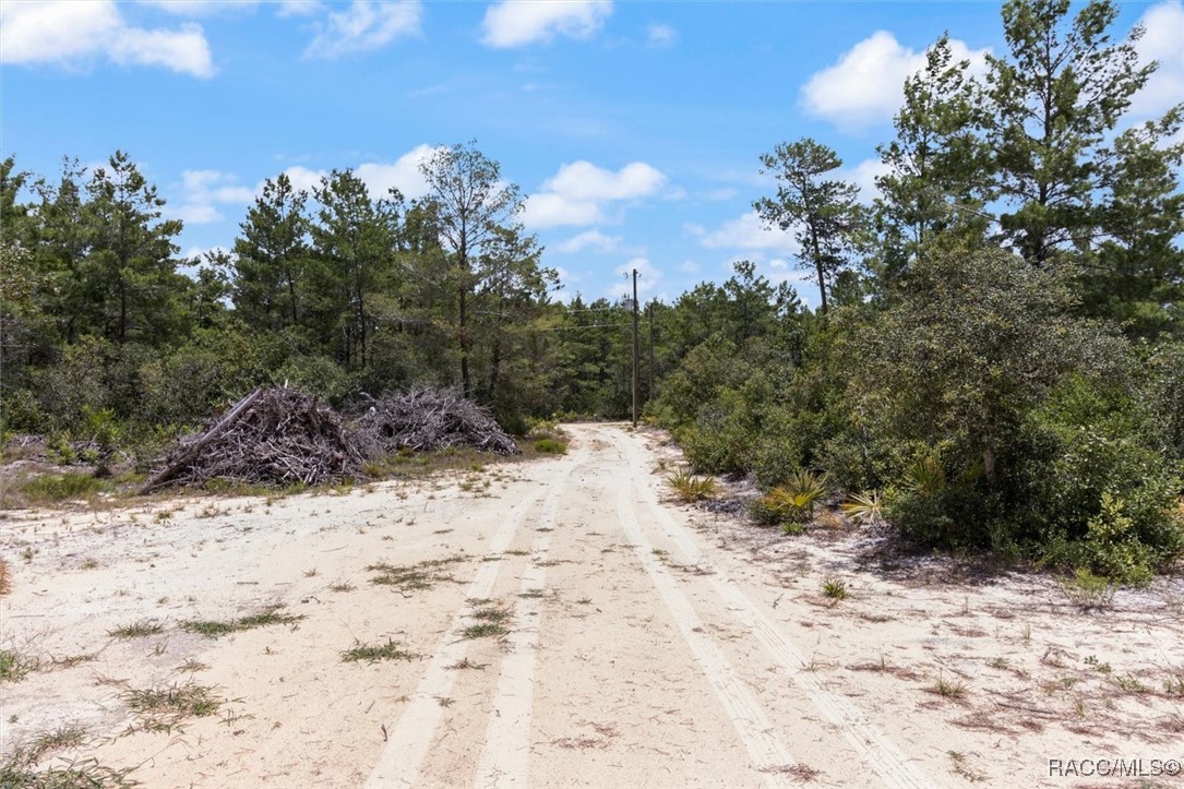 8572 N Lindhurst Circle