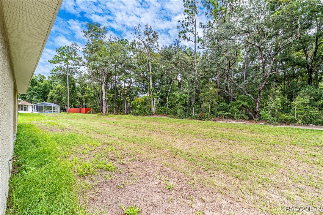 97 W Camino Lane, Citrus Springs, Florida image 39