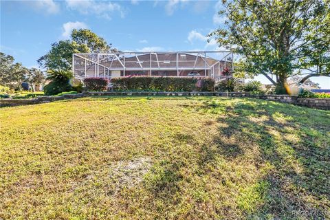 A home in Homosassa