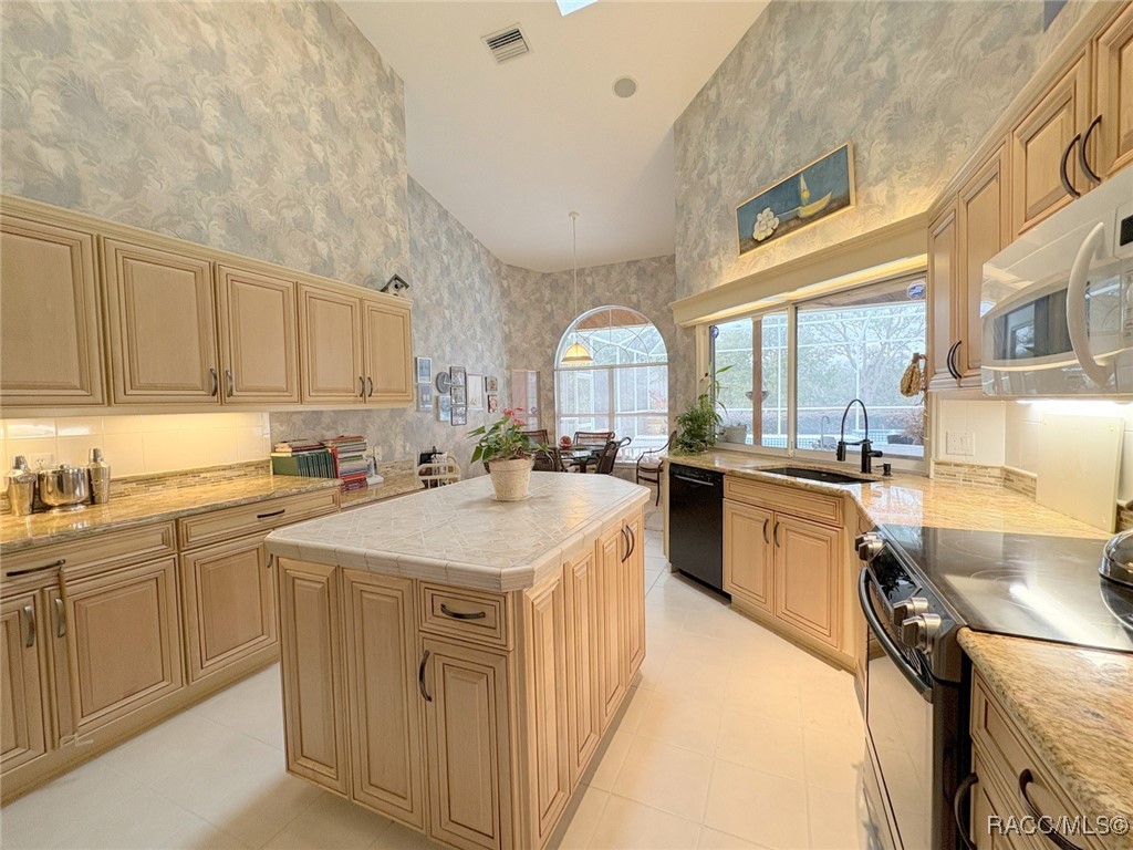1 Deerwood Drive, Homosassa, Florida image 13