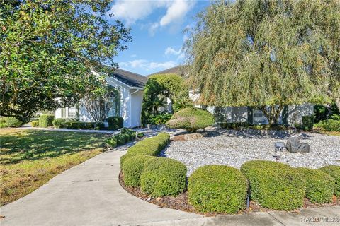 A home in Homosassa