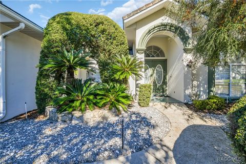 A home in Homosassa