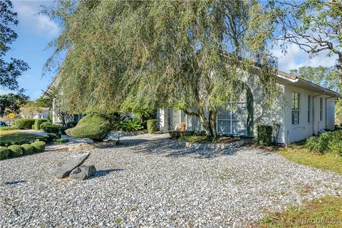 A home in Homosassa