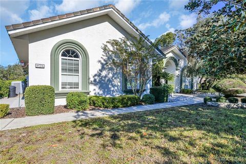 A home in Homosassa