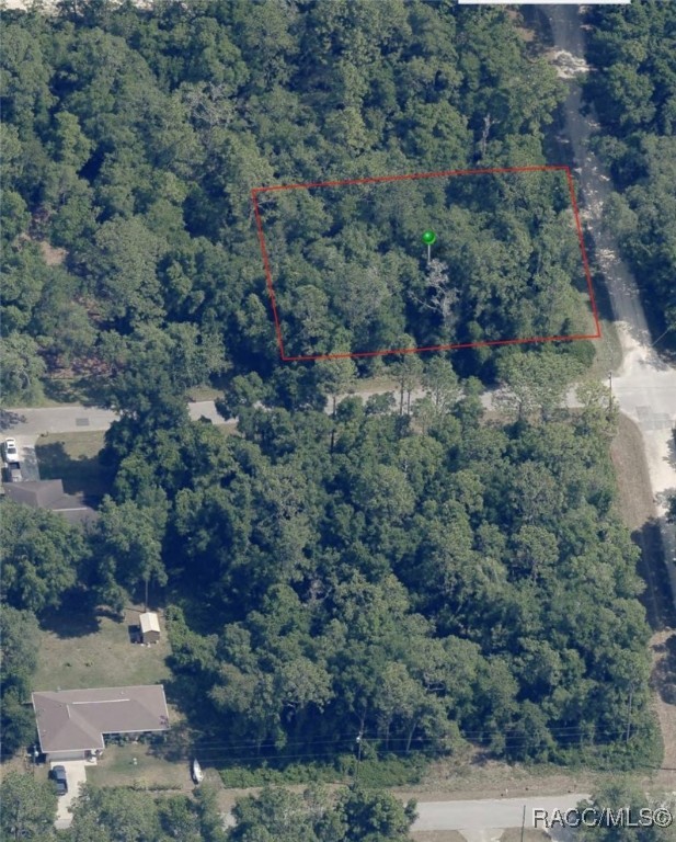 3345 E Kennedy Street, Inverness, Florida image 1