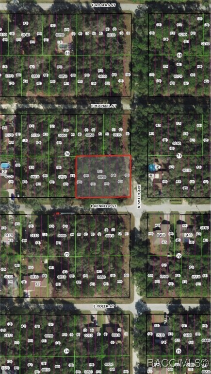 3345 E Kennedy Street, Inverness, Florida image 3