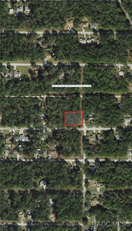 3345 E Kennedy Street, Inverness, Florida image 4