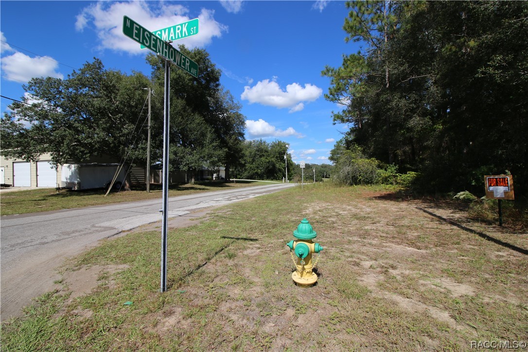 1011 E Bismark Street, Hernando, Florida image 5