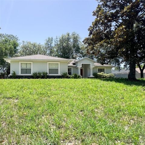 8564 N Merrimac Way Citrus Springs FL 34434