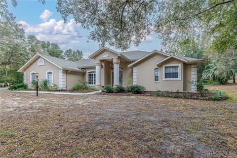 A home in Hernando