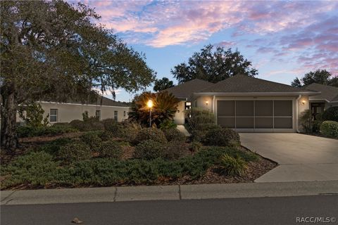 Homes For Sale - 1835 N Litchfield Point<br/> Crystal River, FL 34429