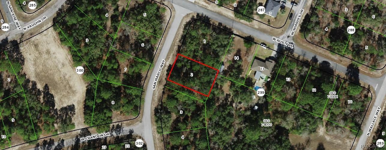 9571 N San Marcos Way, Dunnellon, Florida image 1
