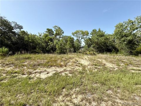 Vacant Land For Sale - 3371 W Seahorse Lane<br/> Dunnellon, FL 34433