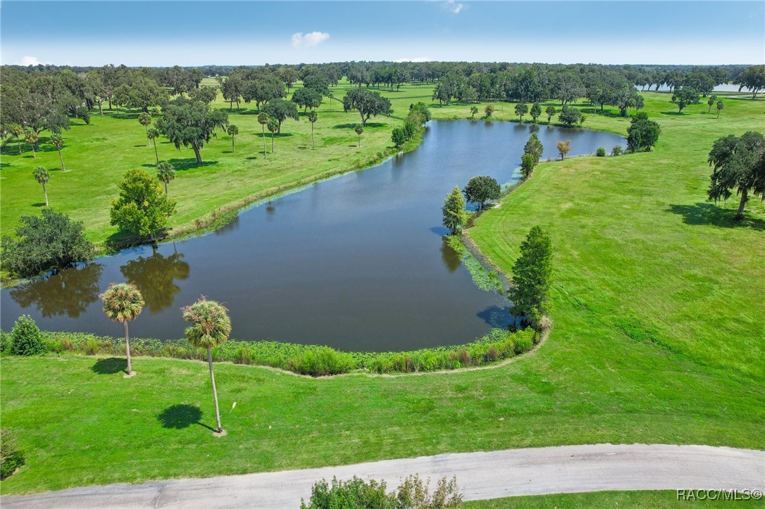 SE 157th St Rd Street, Summerfield, Florida image 9