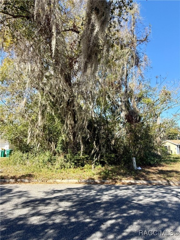 306 S Apopka Avenue, Inverness, Florida image 4