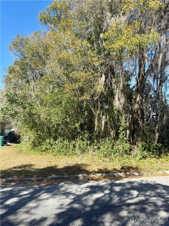 306 S Apopka Avenue, Inverness, Florida image 6